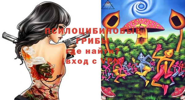 мет Арсеньев